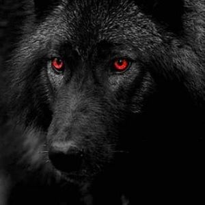 Meet your Posher, Jonnie